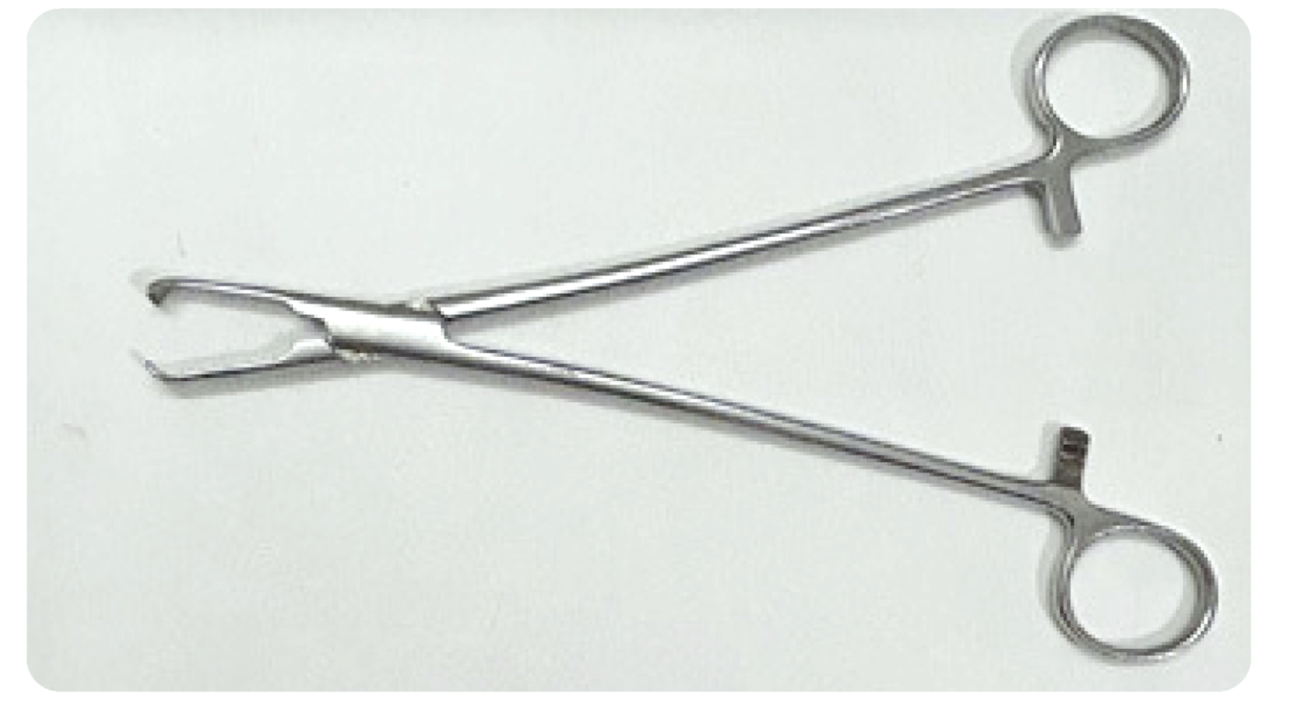 Panicker's Non-Slip Allis Forceps (Long & Short)